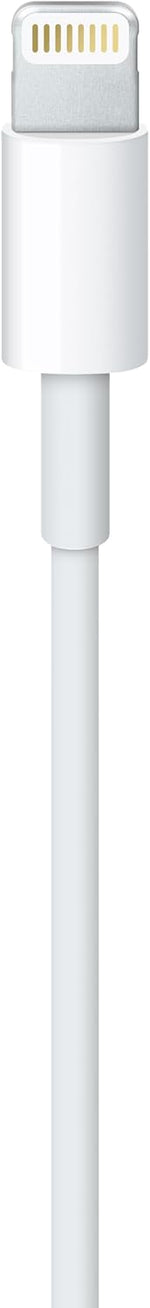 Apple Lightning to USB Cable (1 m) ​​​​​​​